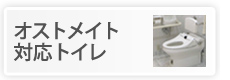 オストメイト